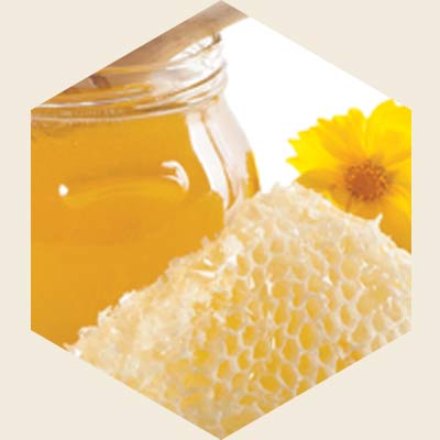 ฮอร์โมนบางชนิดในนมผึ้ง ช่วยทำให้ผิวอ่อนเยาว์